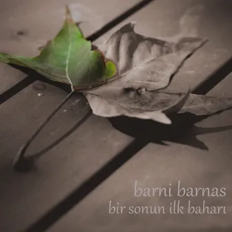 Bir Sonun İlk Baharı by Barni Barnas