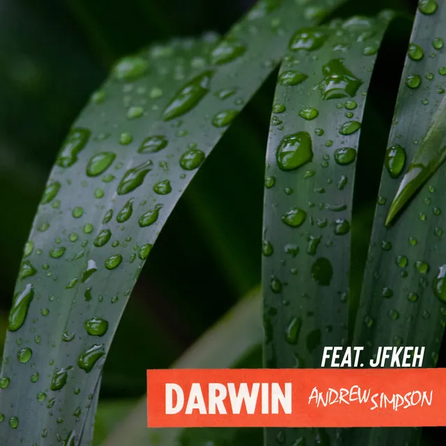 Darwin - Remix