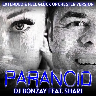 Paranoid (Remixe) by Shari