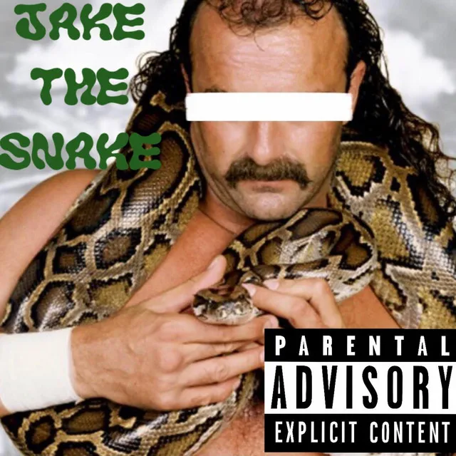 JAKE THE SNAKE