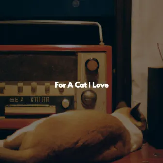 For A Cat I Love by Jazz Ambiental para Cafeterías