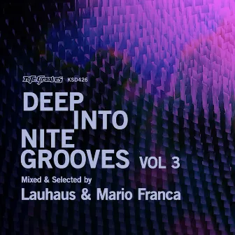 Deep Into Nite Grooves, Vol. 3 by Lauhaus