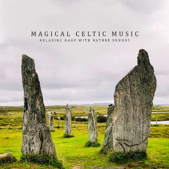 Magical Celtic Music: Relaxing Harp with Nature Sounds by Celtic Chillout Meditation Academy