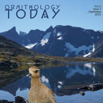 Ornithology Today Vol.2 Issue 1. by Sternklang