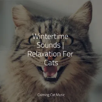 Wintertime Sounds | Relaxation For Cats by Music for Cats Deluxe