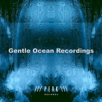 Gentle Ocean Recordings by Whale Song