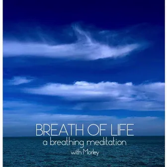 Breath of Life - A Breathing Meditation by Morley