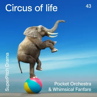 Circus of Life (Pocket Orchestra & Whimsical Fanfare) by Nicolas Martin