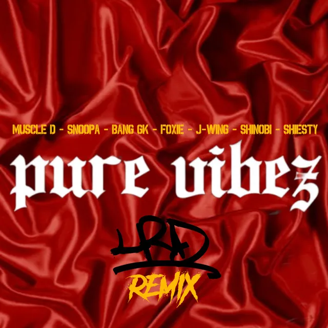 PURE VIBEZ - REMIX