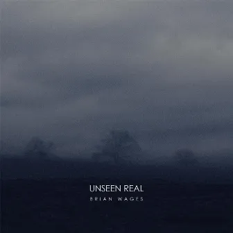 Unseen Real by Brian Wages