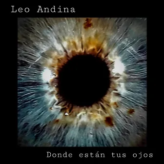 Dónde Están Tus Ojos by Leo Andina