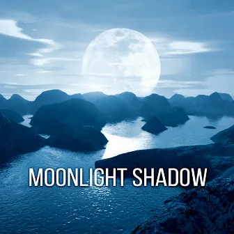 Moonlight Shadow - Deep Sleep Music, Meditation, Sounds of Nature, Massage Music, White Noise Therapy, Positive Thinking, Relaxation, Healing by Restfull Sleep Music Collection