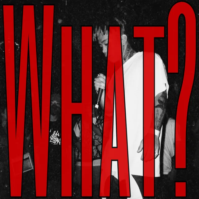 What? (Remix Ver.)