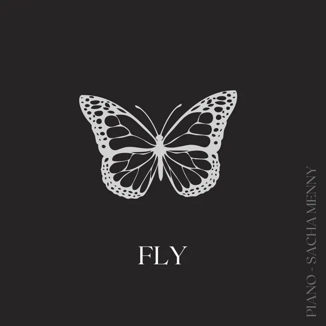 Fly