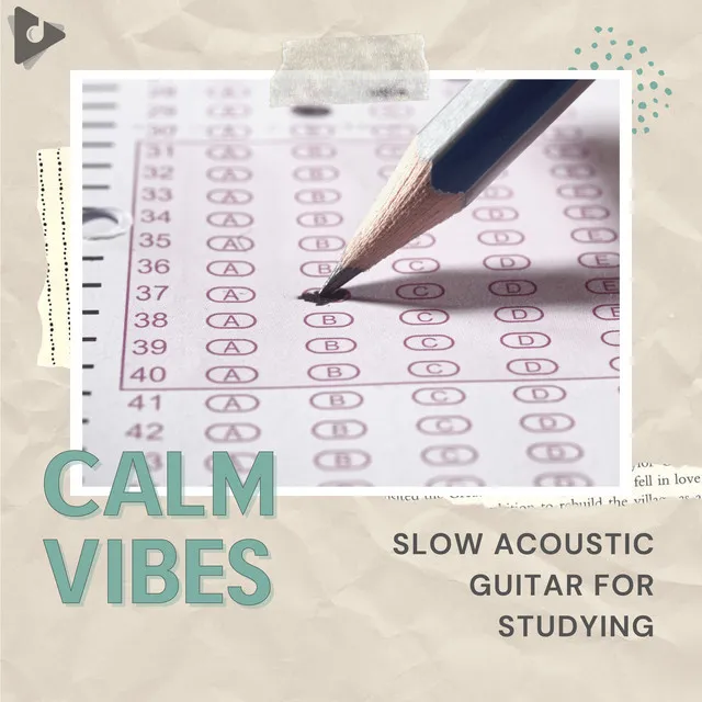 Slow Acoustic Guitar for Studying