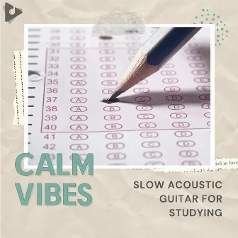 Slow Acoustic Guitar for Studying by Calm Vibes