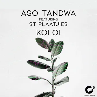 Koloi by Aso Tandwa