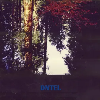 Aimlessness by Dntel