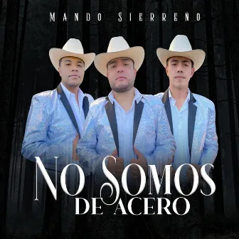 No Somos De Acero by Mando Sierreño