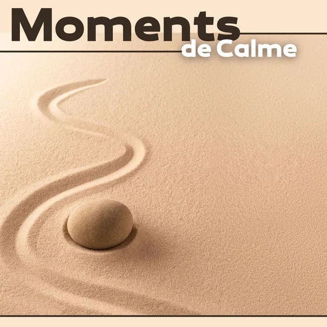 Moments de Calme: Musique Relaxante pour Apaiser l'Esprit