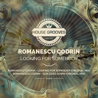 Looking for Somebody by Romanescu Codrin