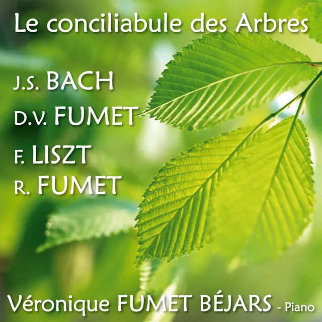 Le conciliabule des Arbres