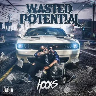 Wasted Potential by Hooks