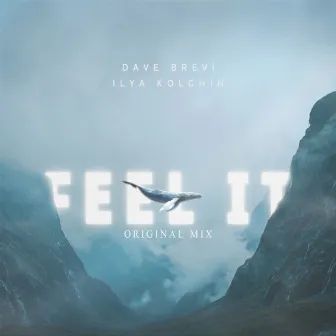 Feel It by Dave Brevi