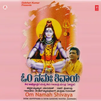 Om Namah Shivaya by Shankar Shambhu Qawwal