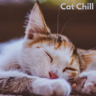 Cat Chill (Loopable, No Fade) by Beruhigende Kätzchenmusik