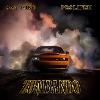 Zumbando by Sam King