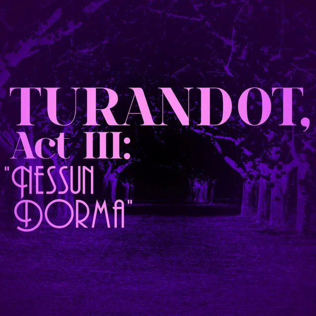 Turandot, Act III: "Nessun dorma"