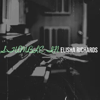 Stumble In by Elisha Richards