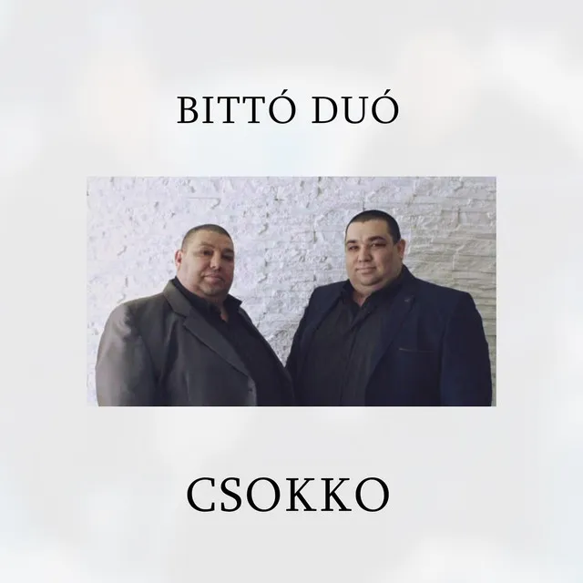 Csokko