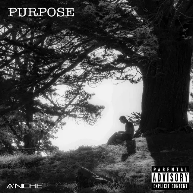 Purpose (Pass the Mic Freestyle)