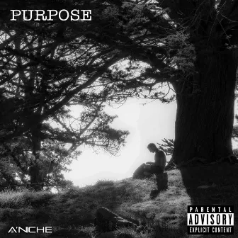 Purpose (Pass the Mic Freestyle) by A'niche