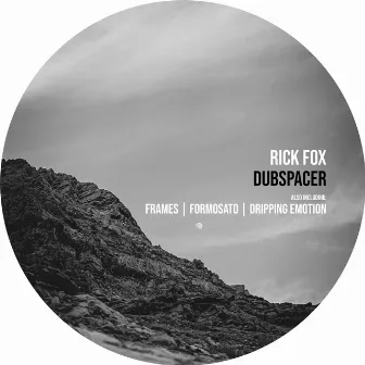 Dubspacer by Rick Fox