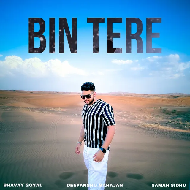 Bin Tere