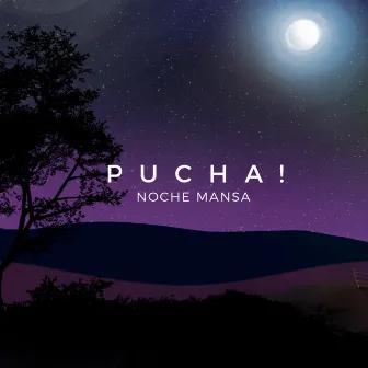 Noche Mansa by Pucha!