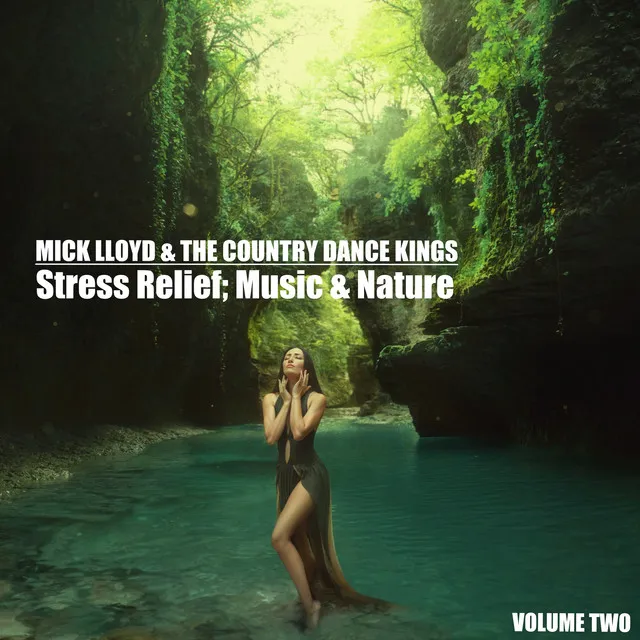 Stress Relief; Music & Nature, Volume 2