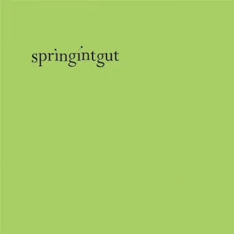 Springintgut by Springintgut