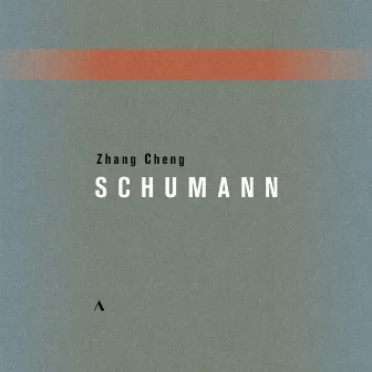 R. Schumann: Piano Works (Live) by Zhang Cheng