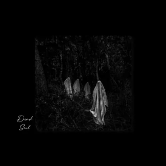 Ded Svl by M RECORDS