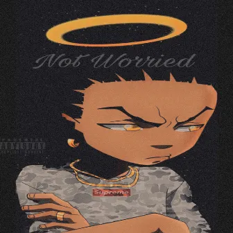 Not Worried by Lil pac