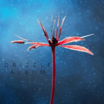 Drizzle Album by Eclectic Nature Noise