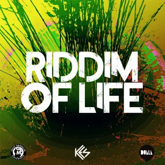 Riddim of Life by Dwala