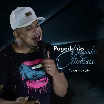 Boa Sorte (Ao Vivo) by Neguinho de Oliveira