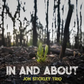 In and About by Jon Stickley Trio