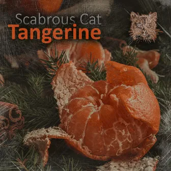 Tangerine by Scabrous Cat