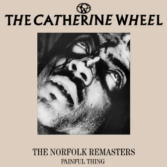 The Norfolk Remasters - Painful Thing by Catherine Wheel